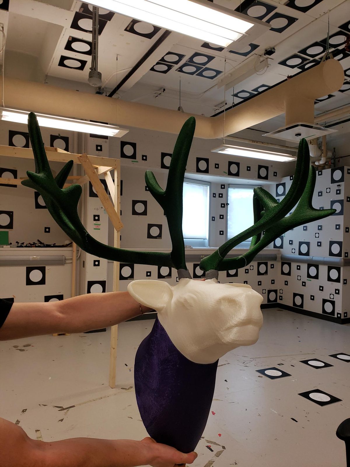 Antler phantom used to verify reconstruction accuracy.