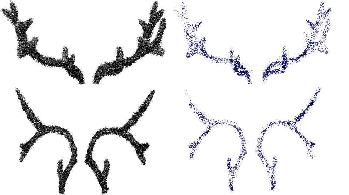 Non-Invasive Reindeer Antler Reconstruction
